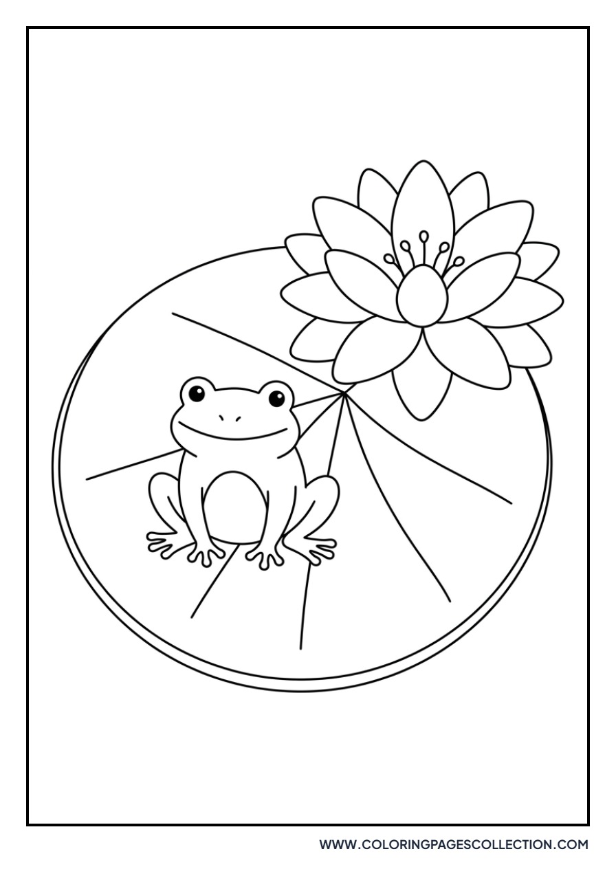 Lily Pad and Frog