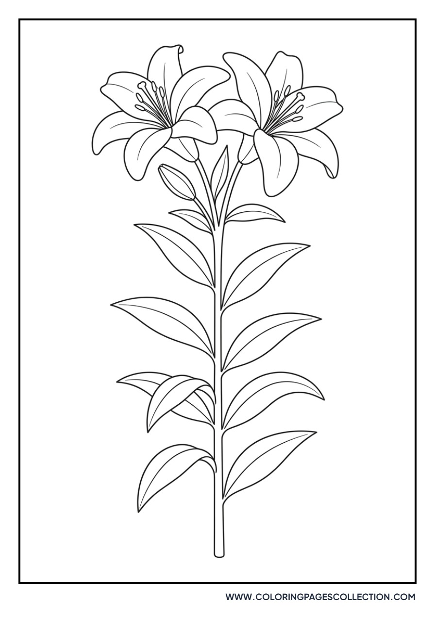 Lily Stem with Leaves