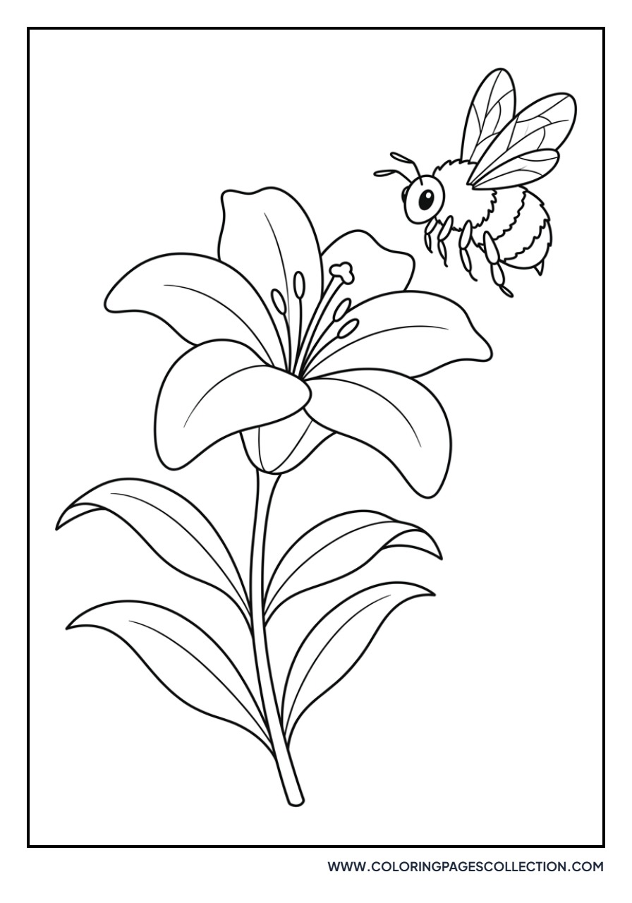 Lily with a Bee