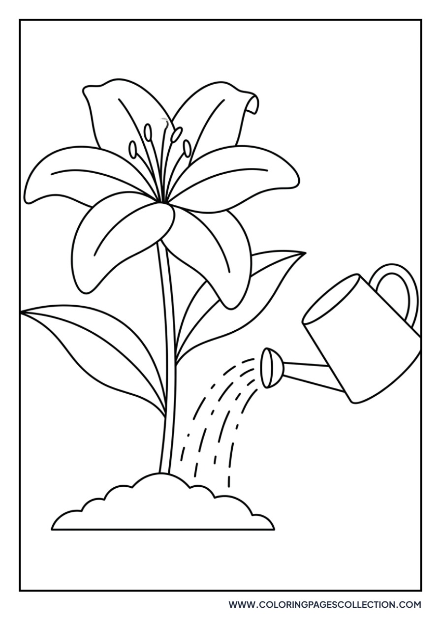 Lily with a Watering Pot
