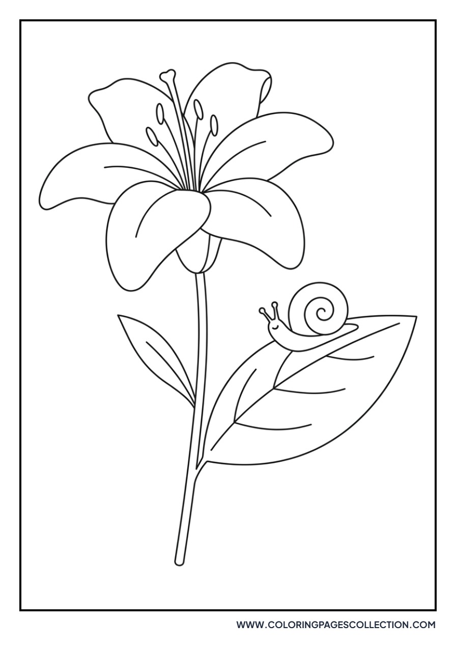 Lily with Garden Snail