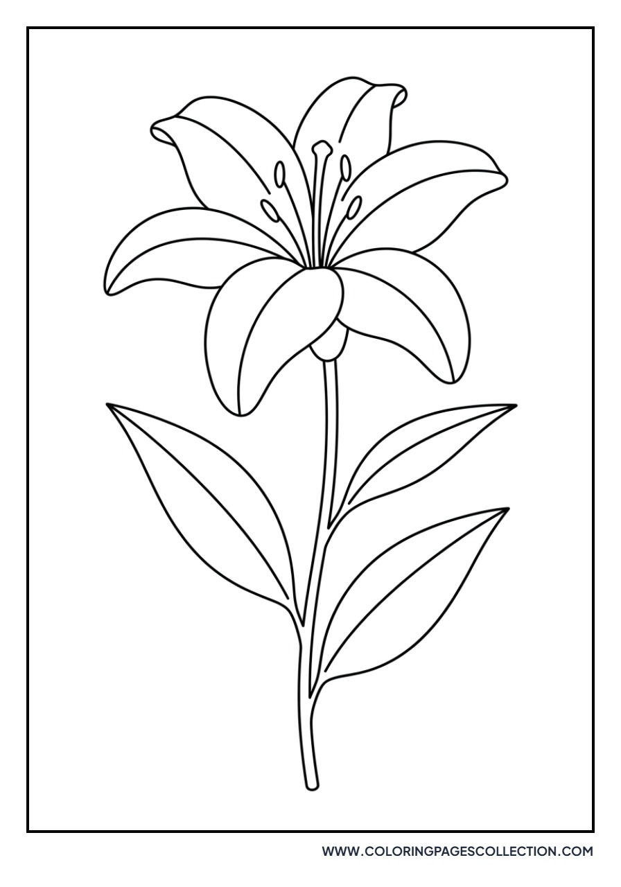 Minimalist Lily Outline