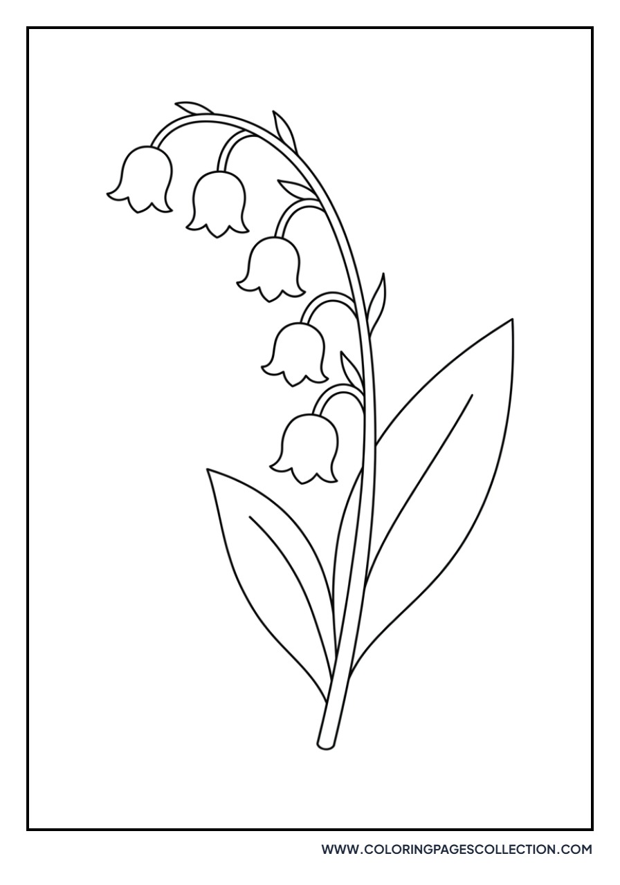 Simple Lily of the Valley