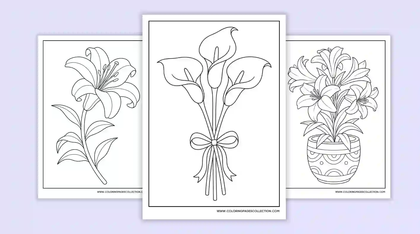 coloringpagescollection.com