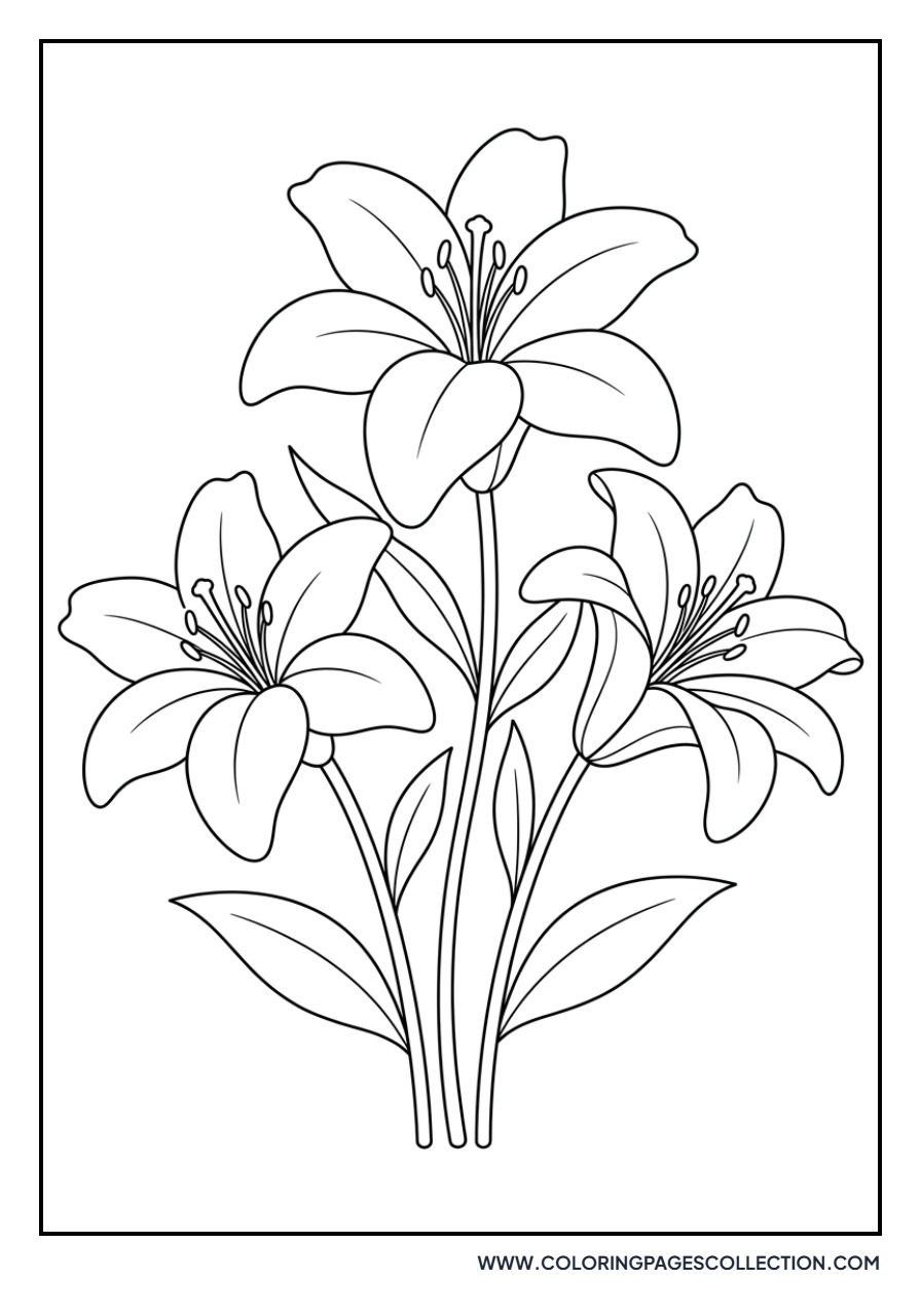 Three Lilies in a Group