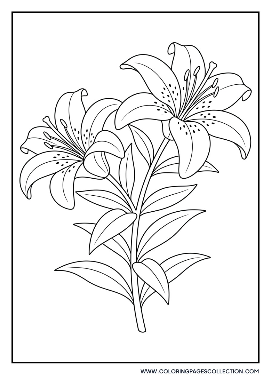 Twin Tiger Lilies