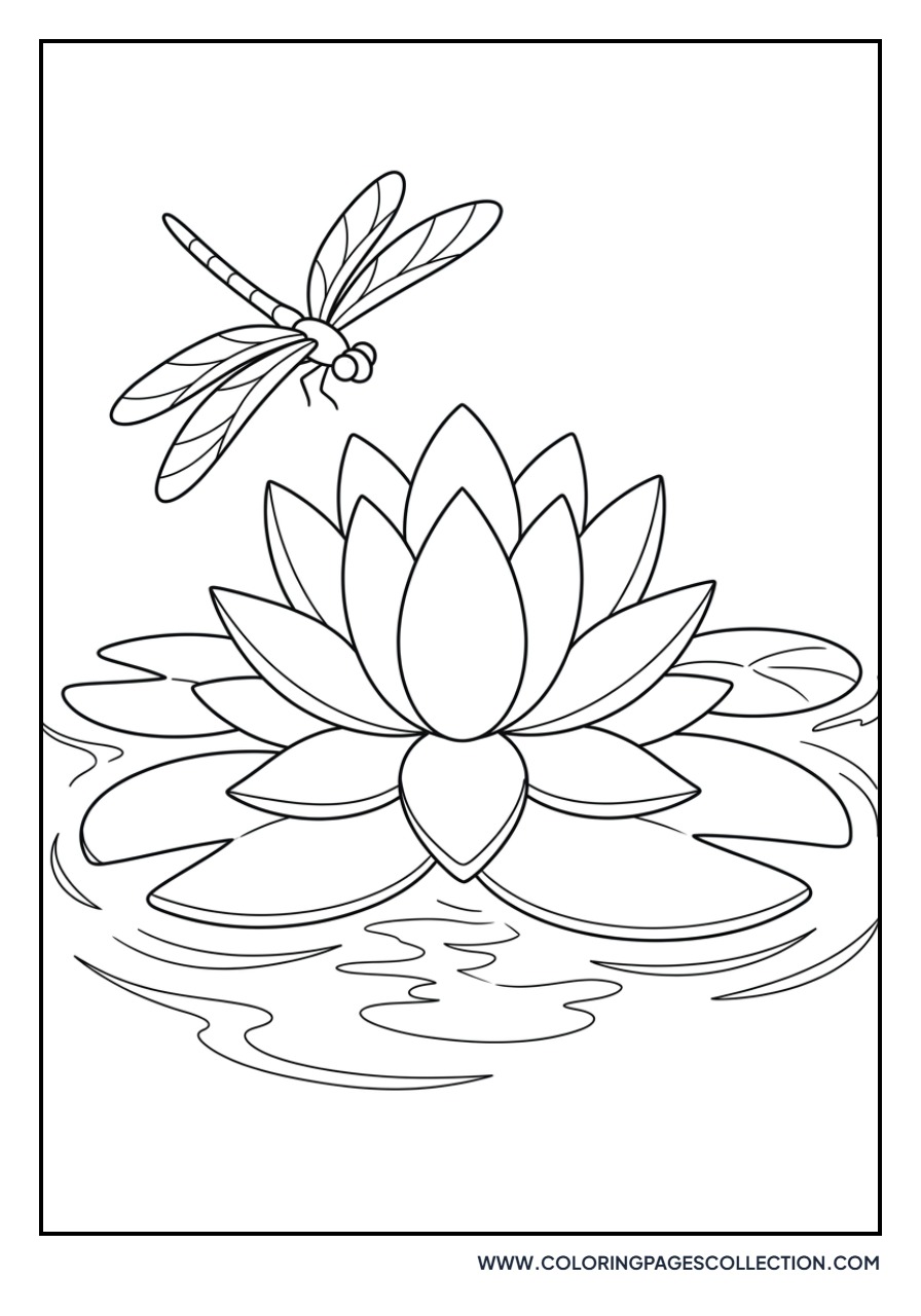 Water Lily with Dragonfly