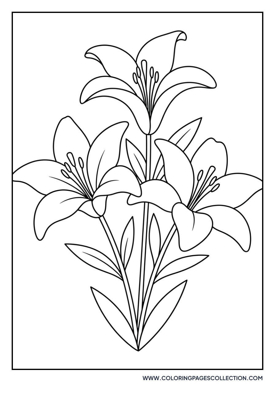 Wood Lily Wildflower Bunch