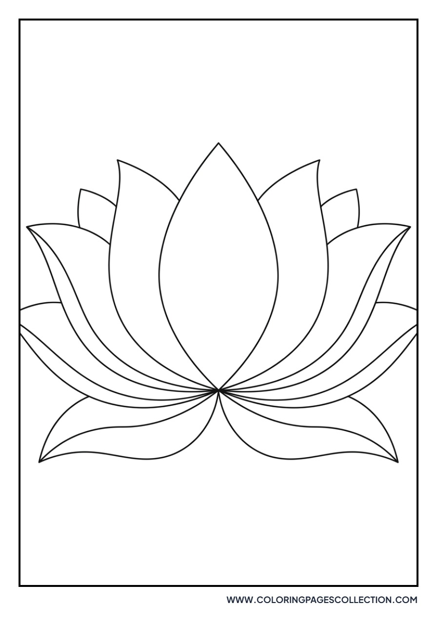 Double Sided Lotus Pattern