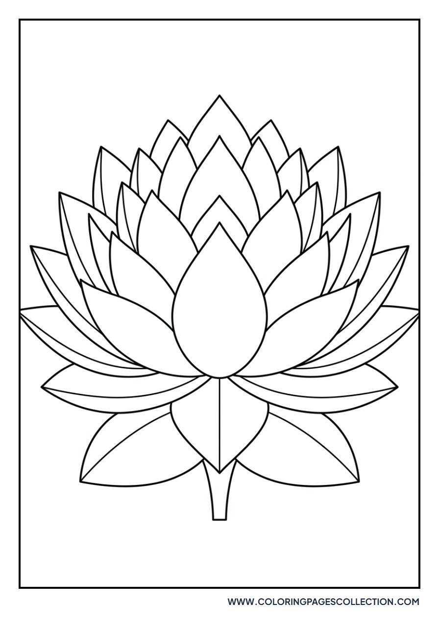 Fancy Layered Lotus
