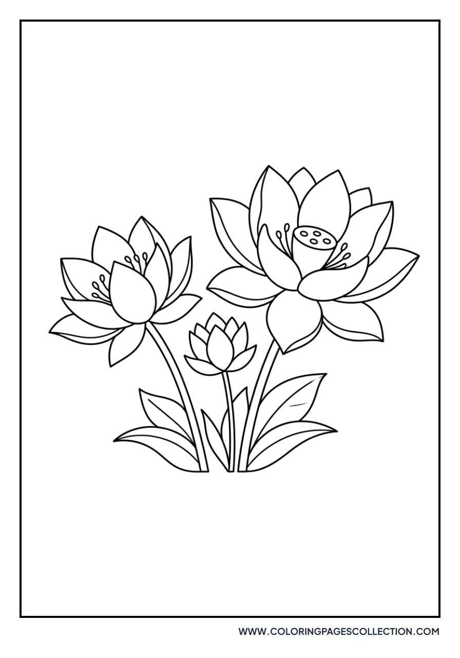 Group of Three Lotuses