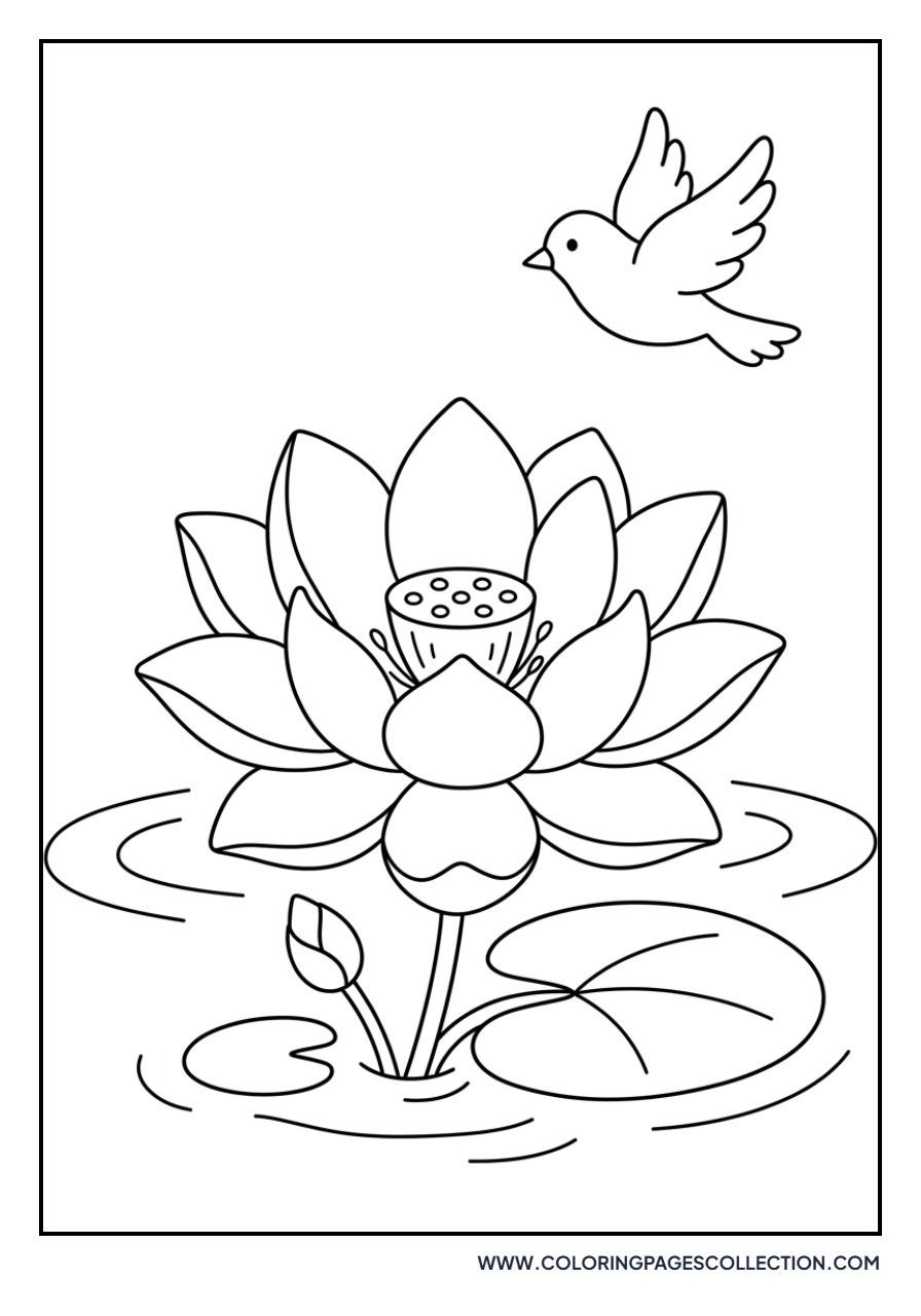 Lotus and Bird in Flight