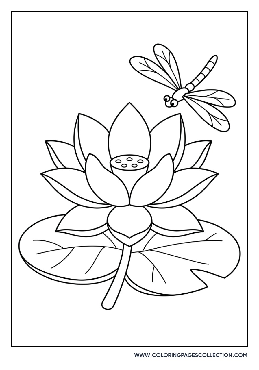 Lotus and Dragonfly Over Water