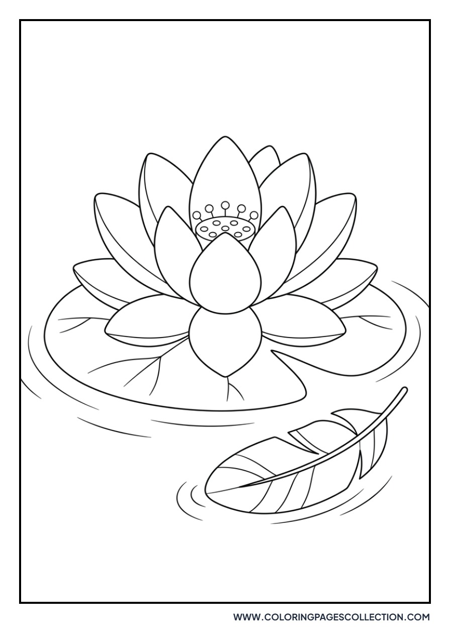 Lotus and Floating Feather