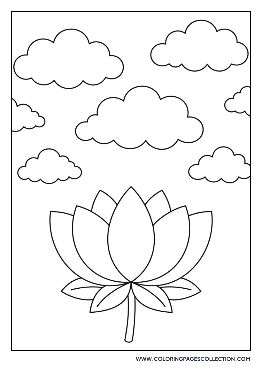 Lotus and Gentle Clouds