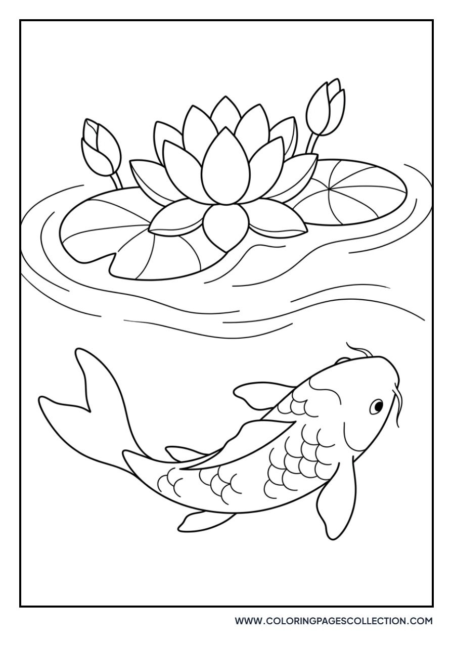 Lotus and Koi Fish Swimming