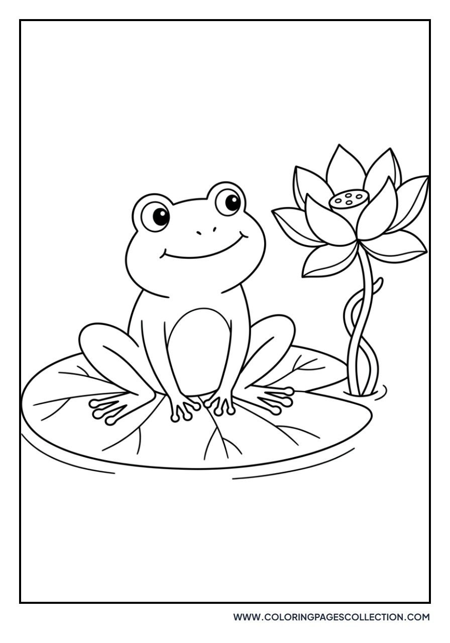 Lotus and Little Frog