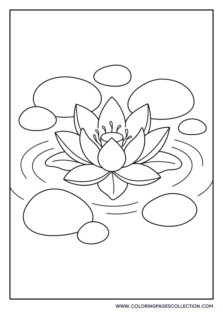 Lotus and Pond Stones