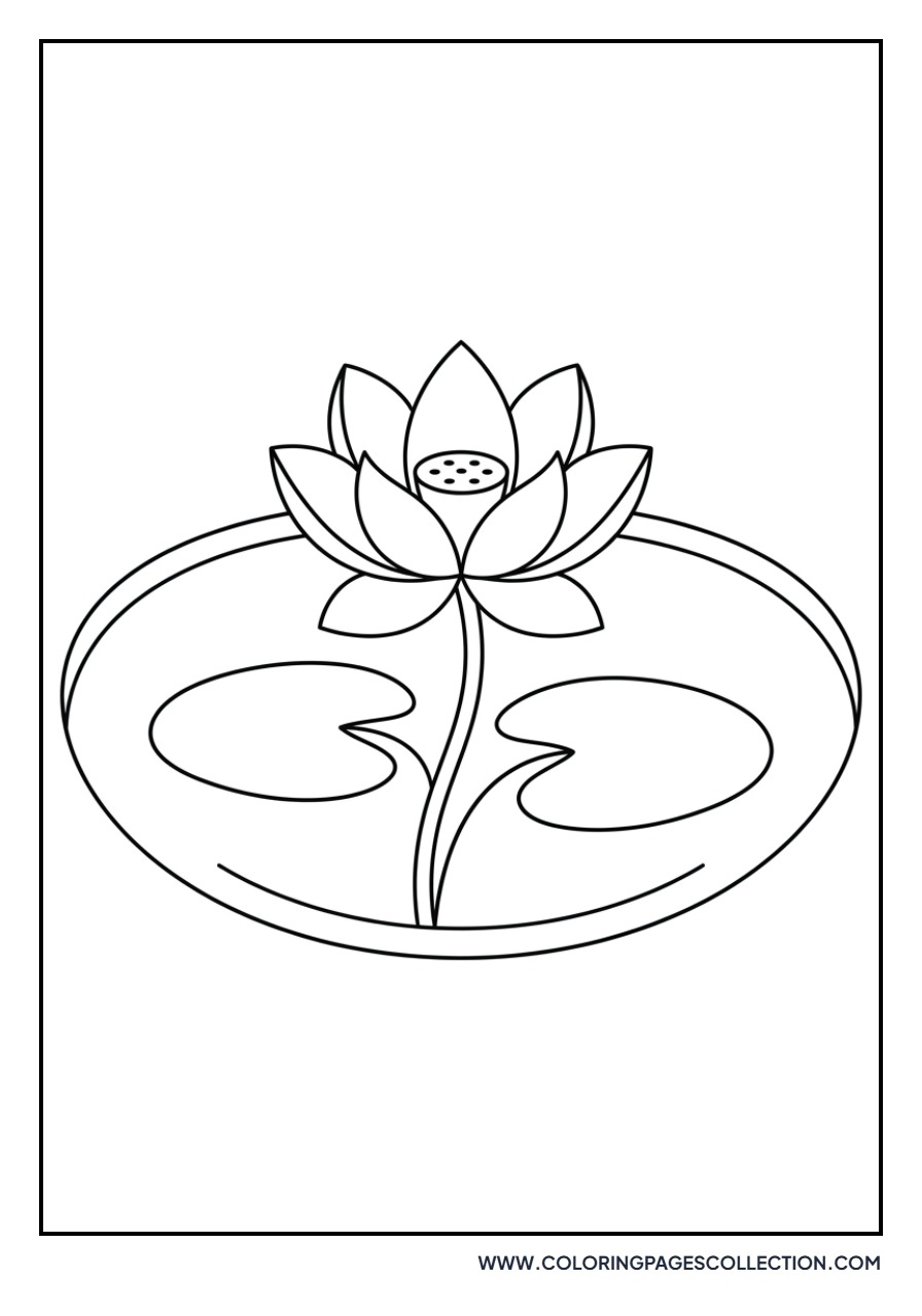Lotus and Rippling Pool