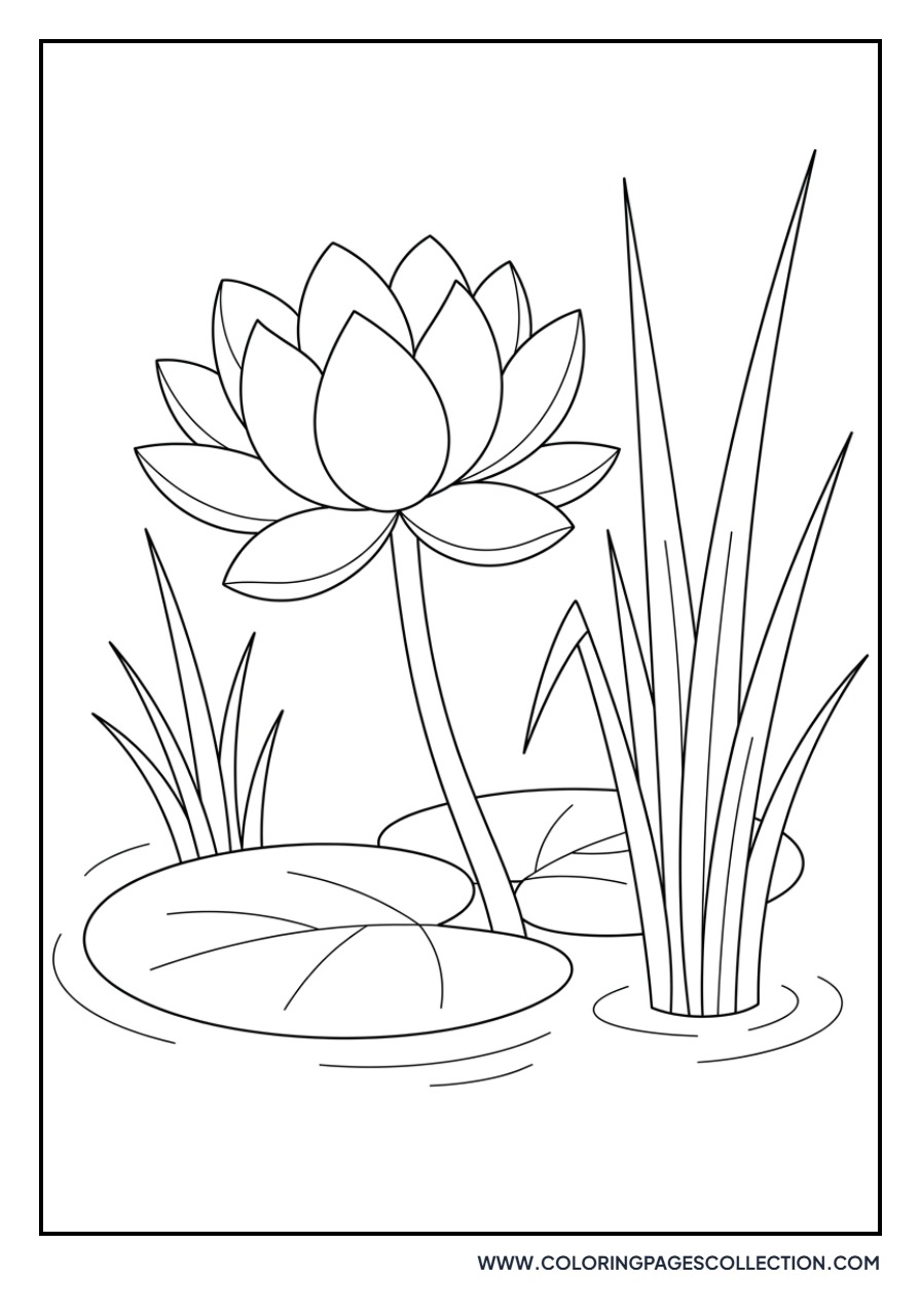 Lotus and Tiny Grasses
