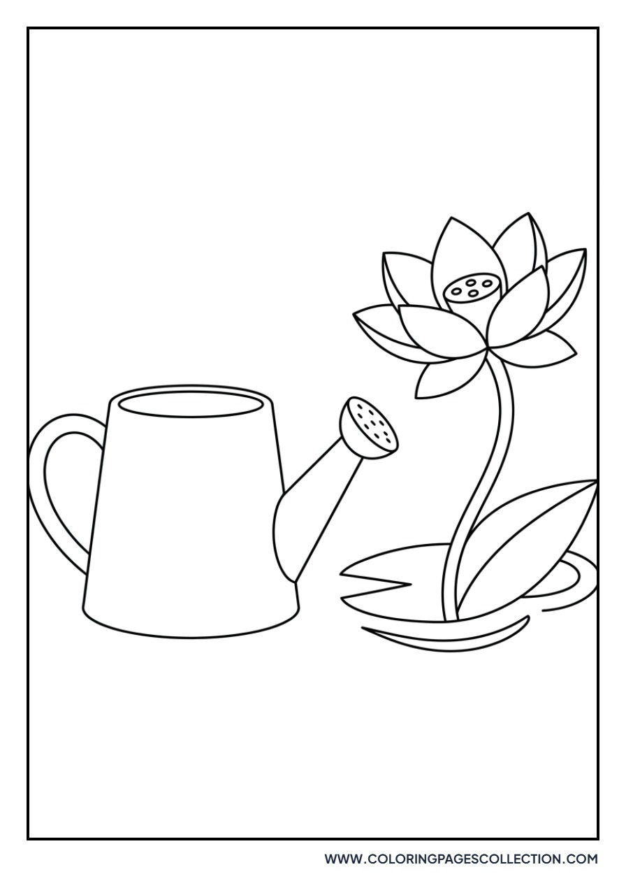 Lotus and Watering Can