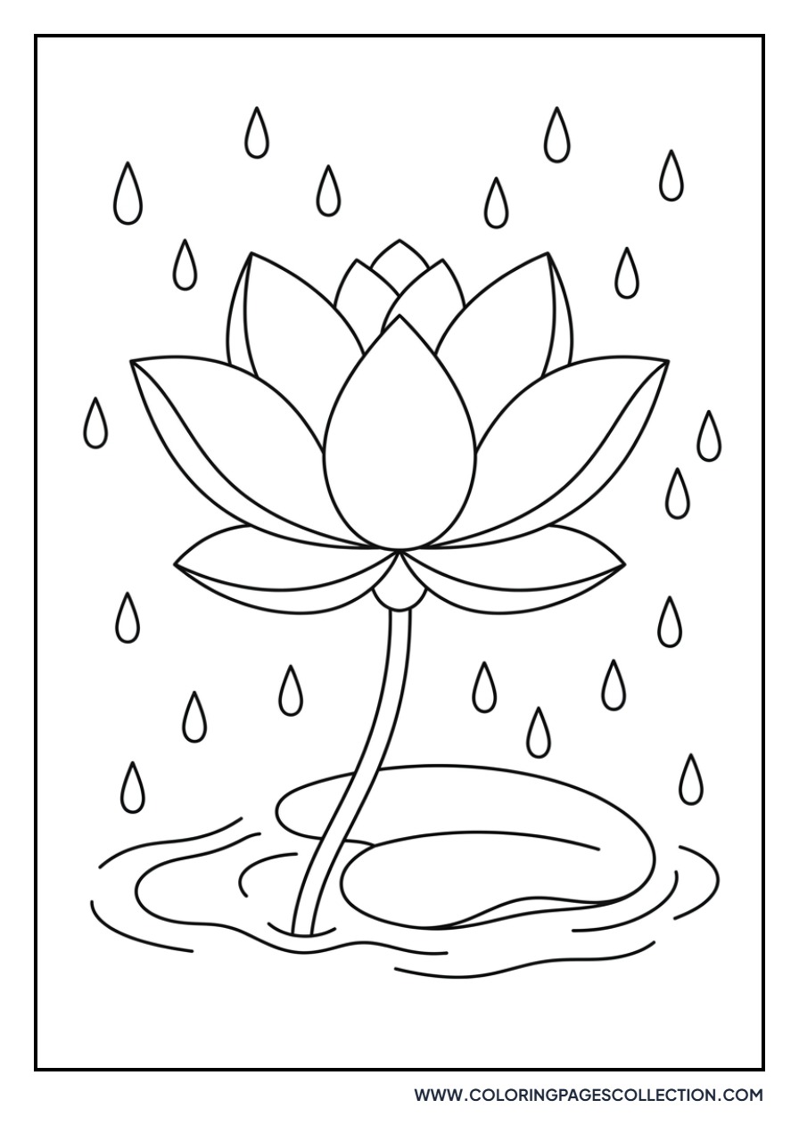 Lotus Flower in the Rain