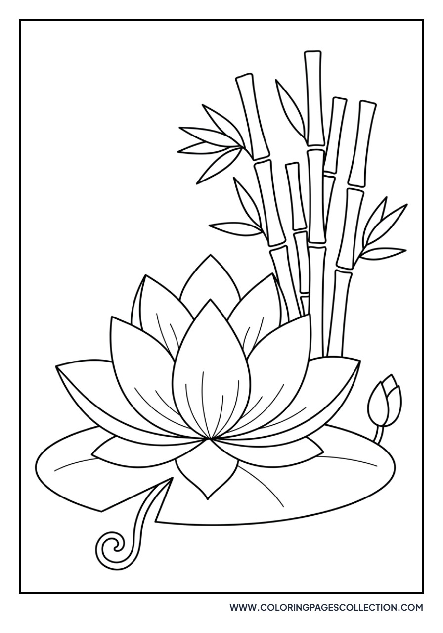 Lotus in a Bamboo Forest