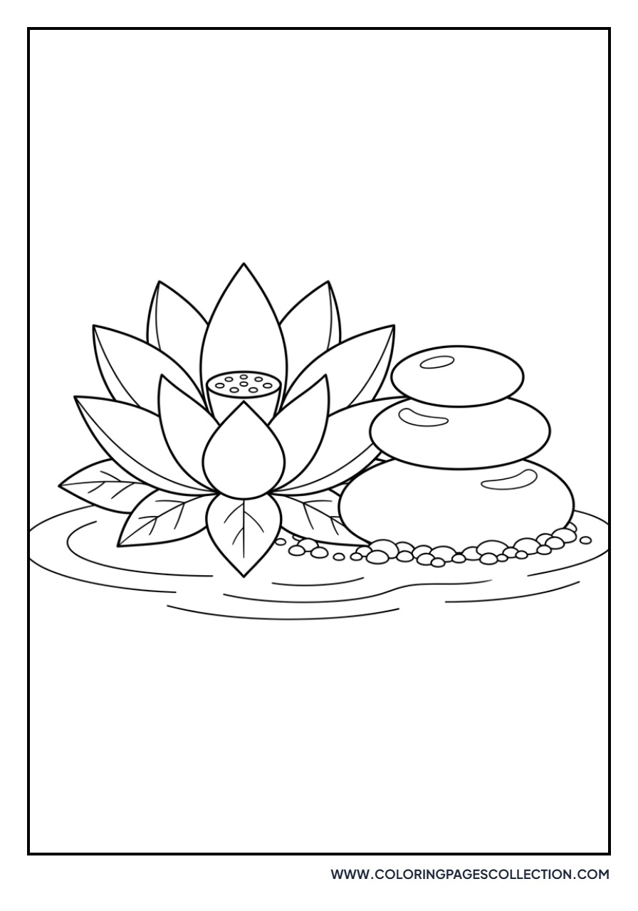 Lotus in a Zen Garden