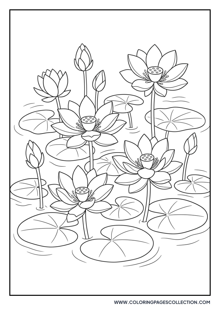 Lotus Pond Landscape