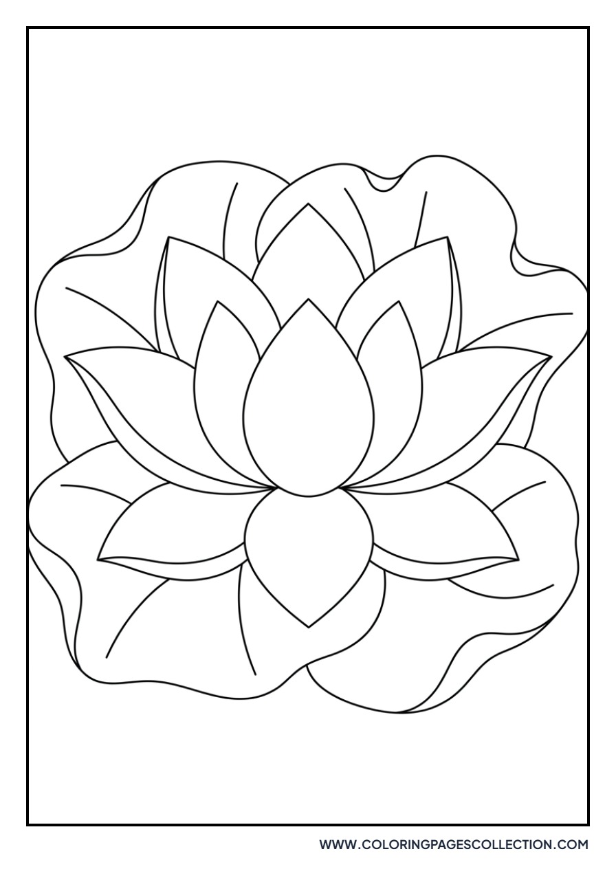 Lotus with Curled Leaves