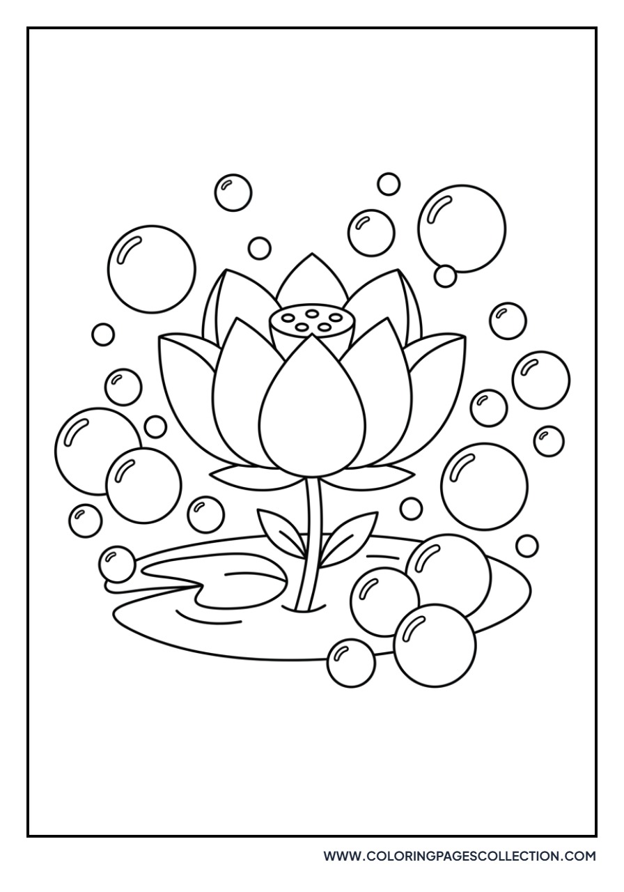 Lotus with Floating Bubbles