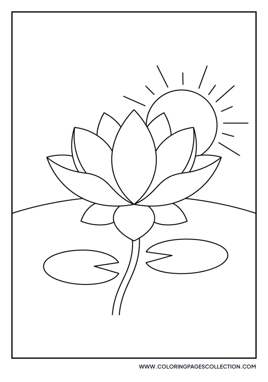 Lotus with Morning Sun