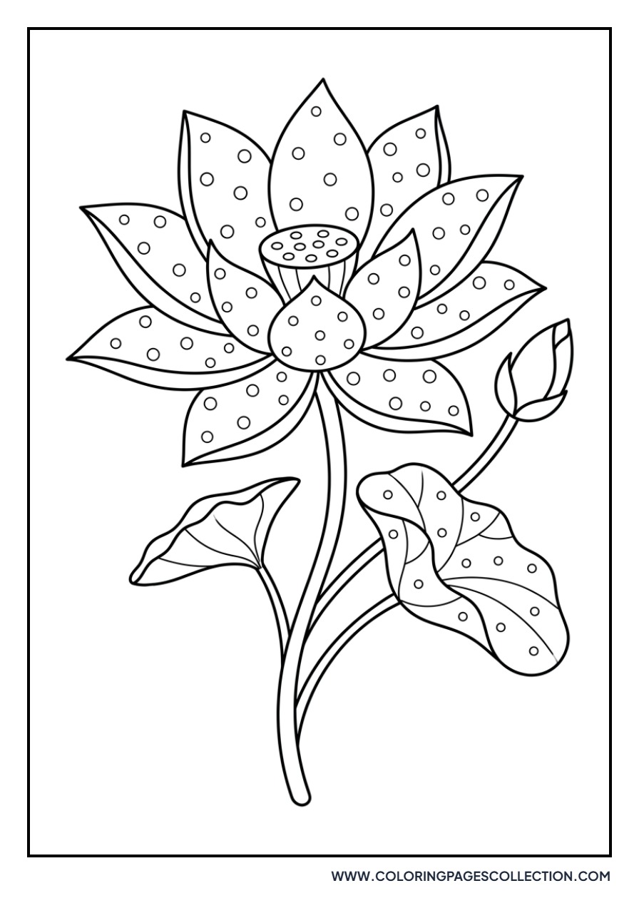 Lotus with Polka Dot Petals