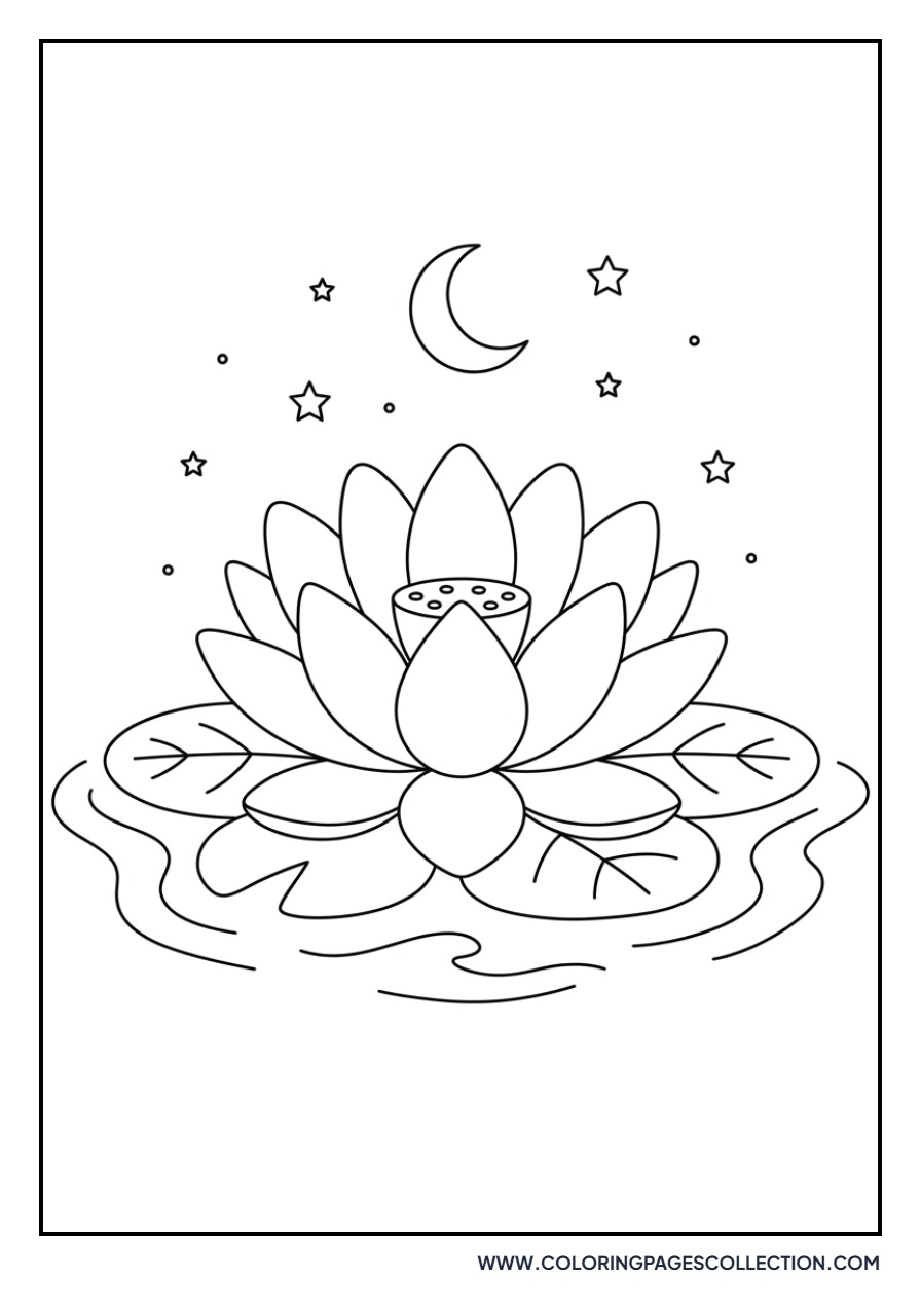 Lotus with Starry Sky