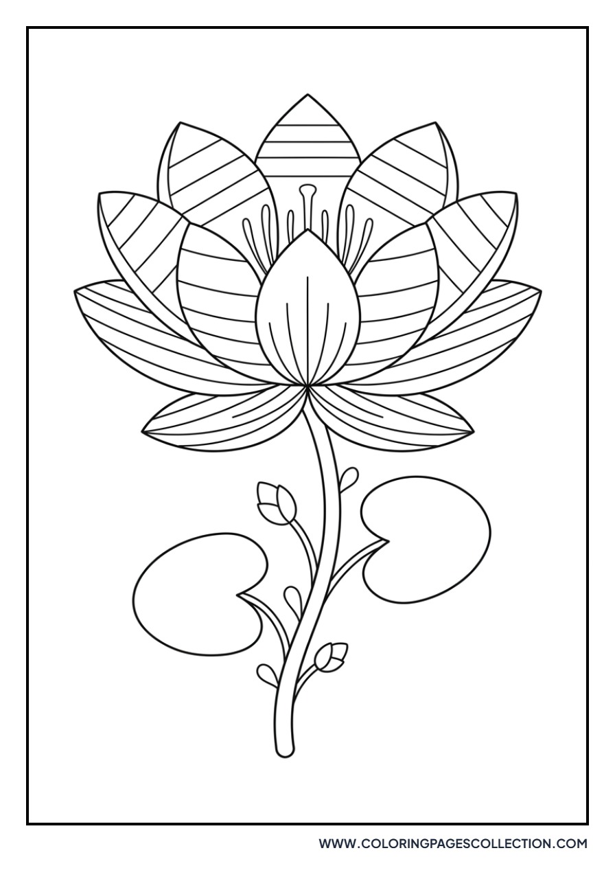 Lotus with Striped Petals