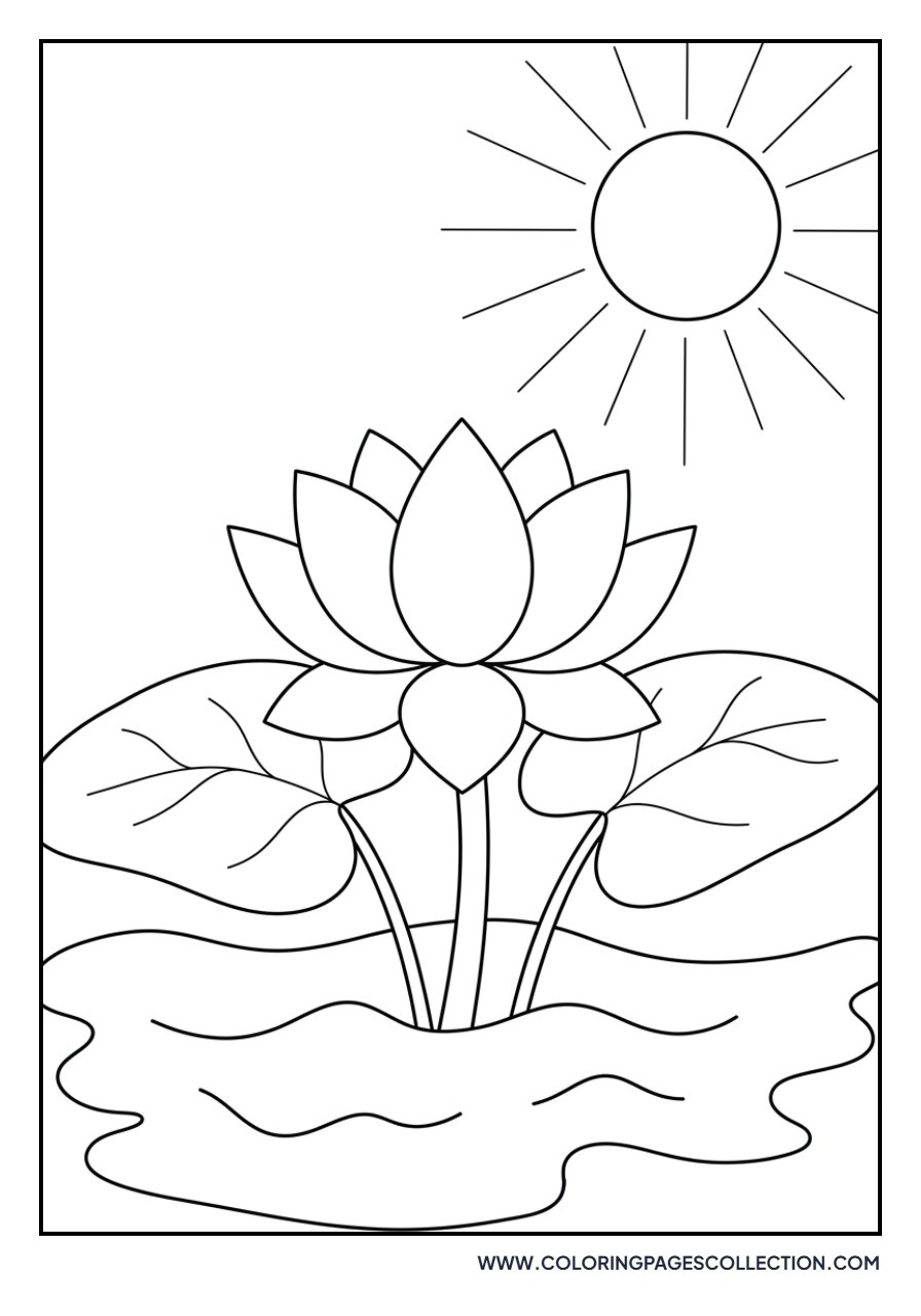 Lotus with Sun Rays