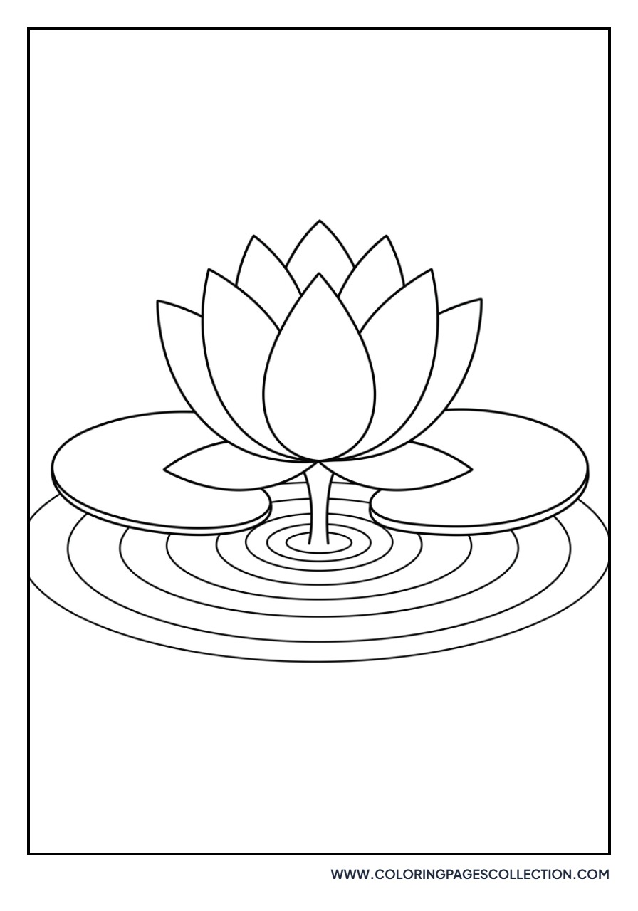 Lotus with Water Ripples