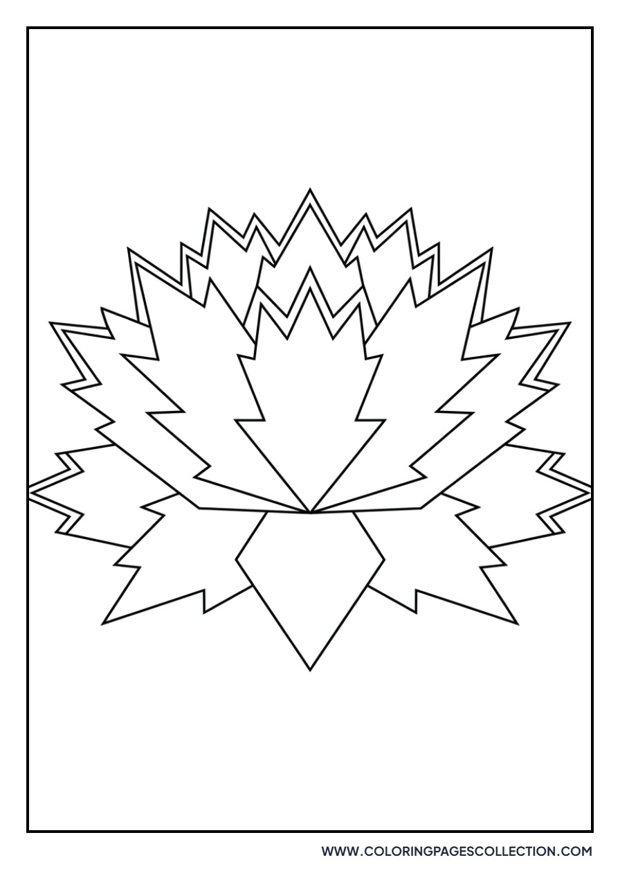 Lotus with Zig-Zag Petals