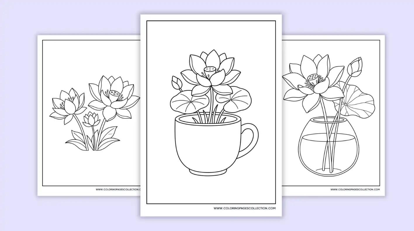 Lotus Coloring Pages coloring pages