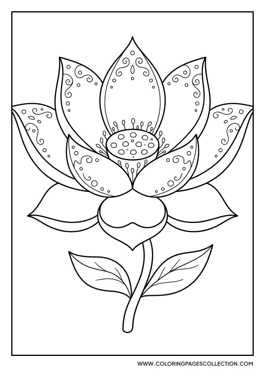 Ornate Lotus Petals