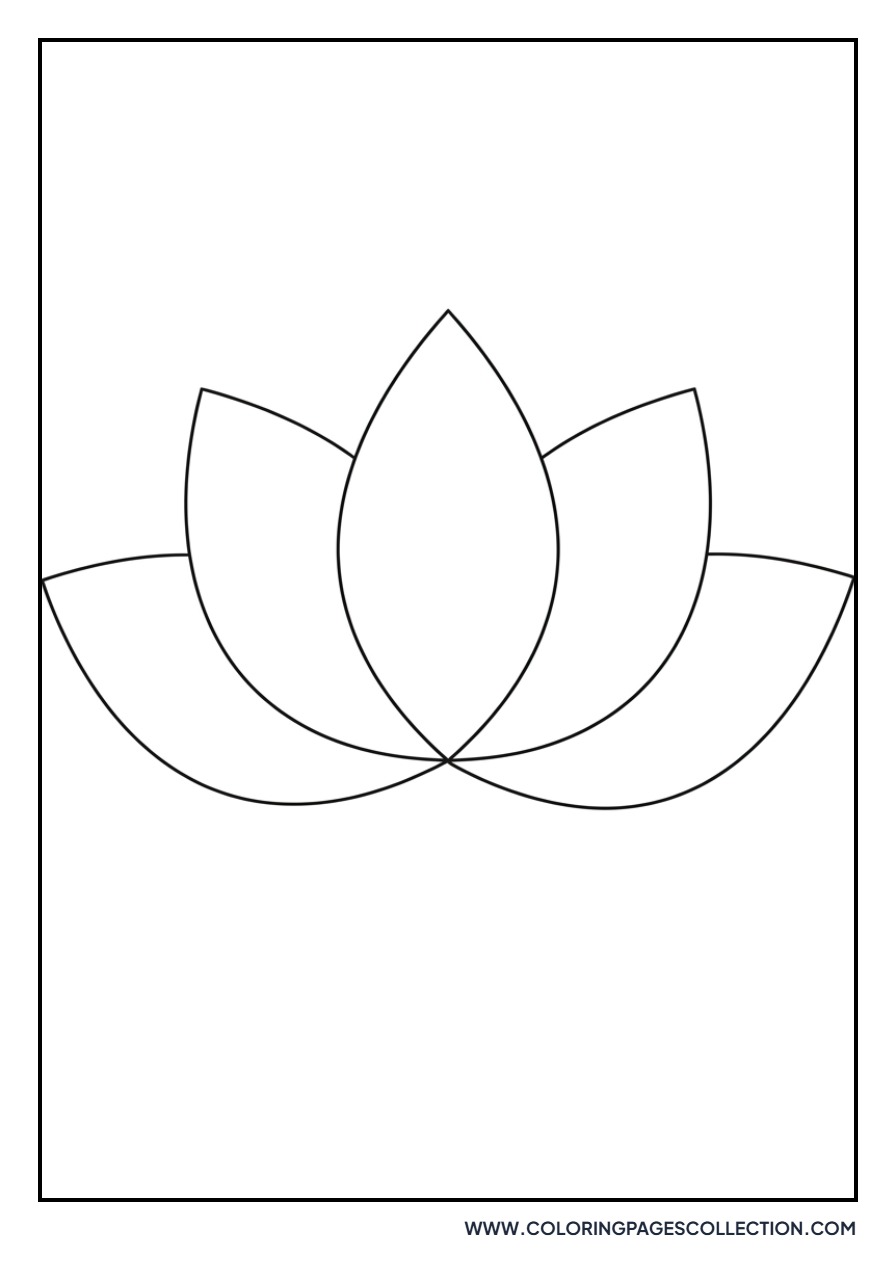 Simple Lotus for Preschool