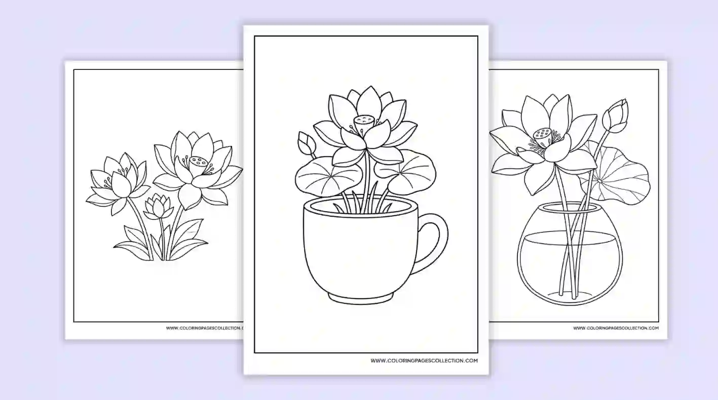 coloringpagescollection.com
