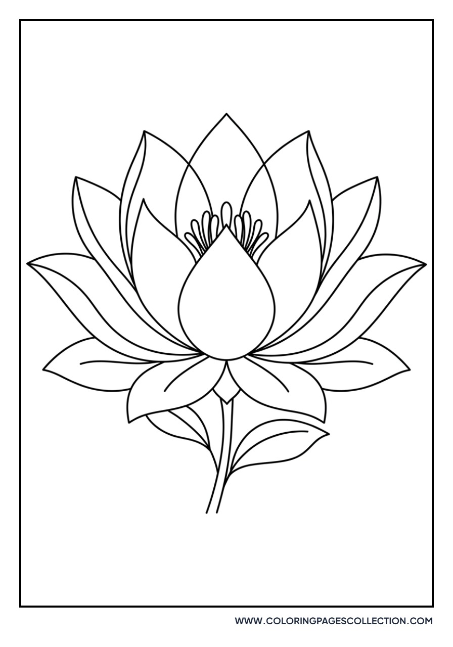 Stylized Artistic Lotus Bloom
