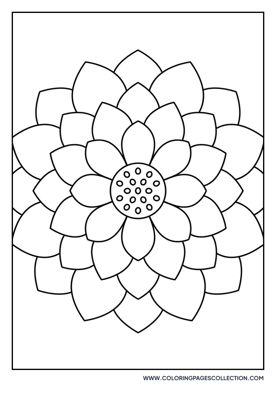 Top View Lotus Design