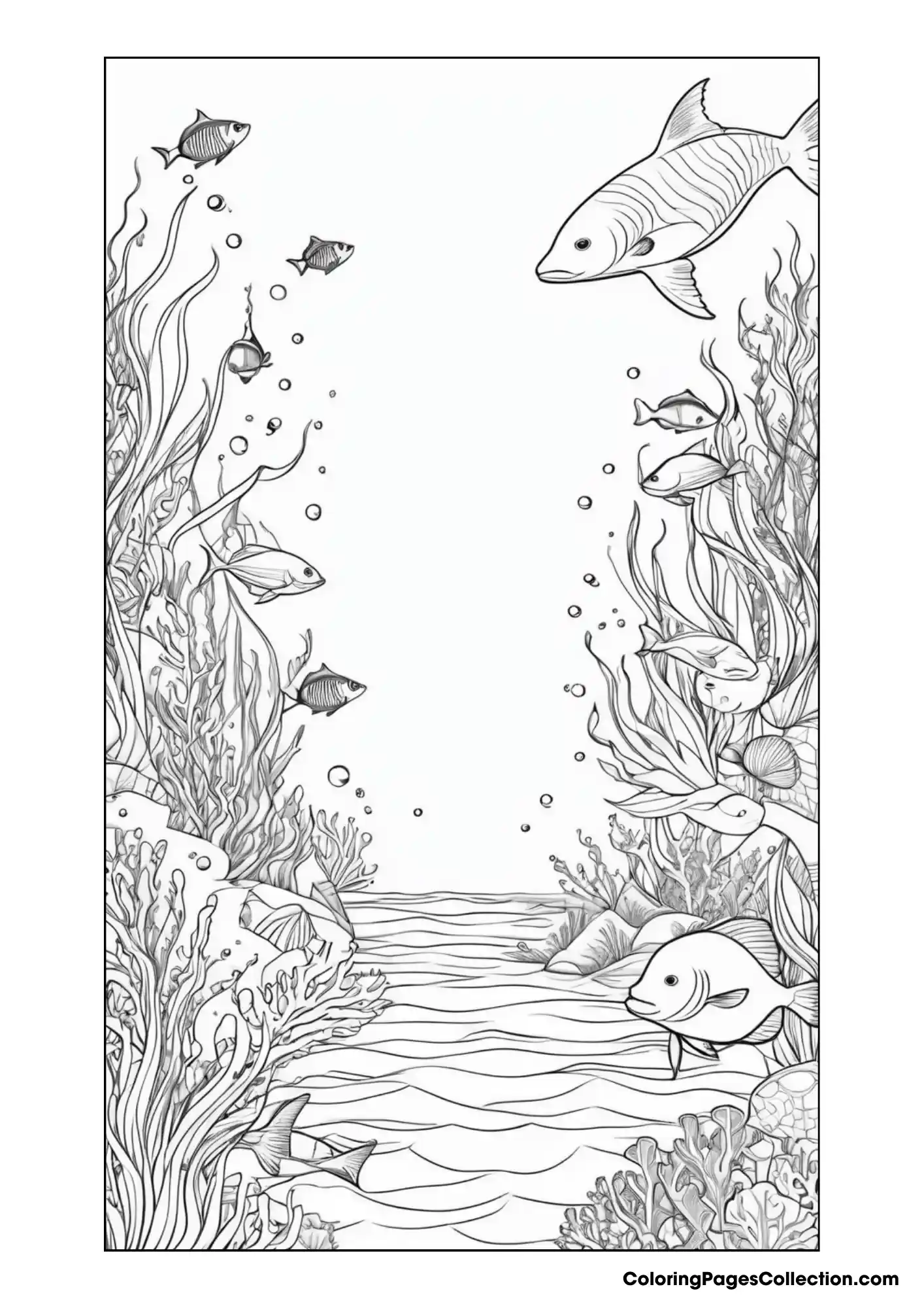 ocean coloring pages