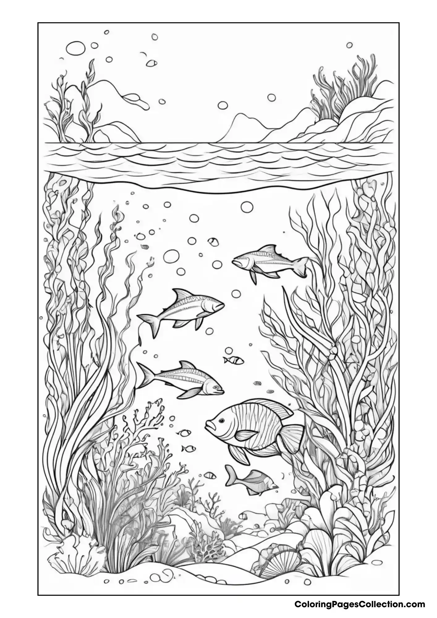ocean coloring pages