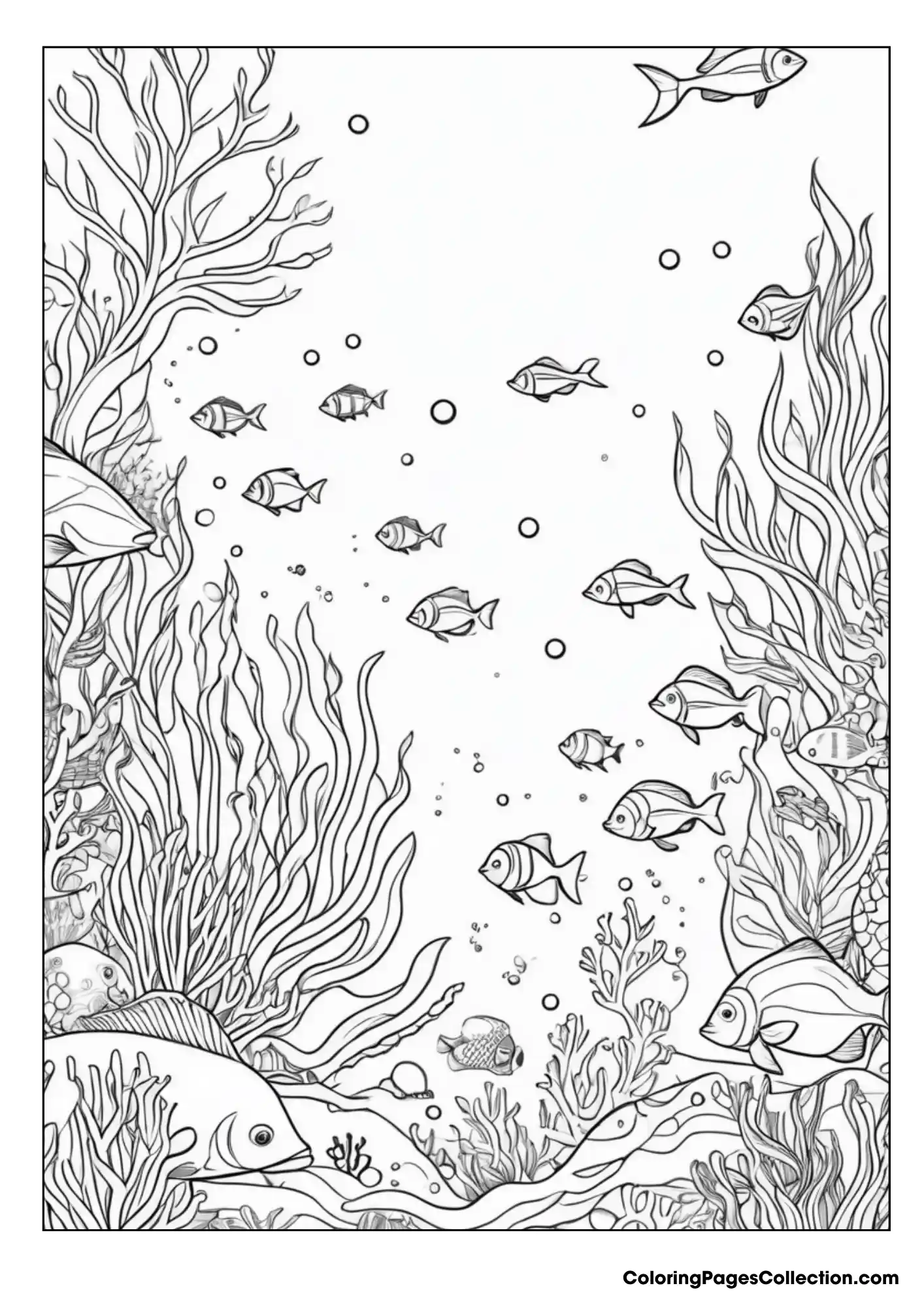 ocean coloring pages