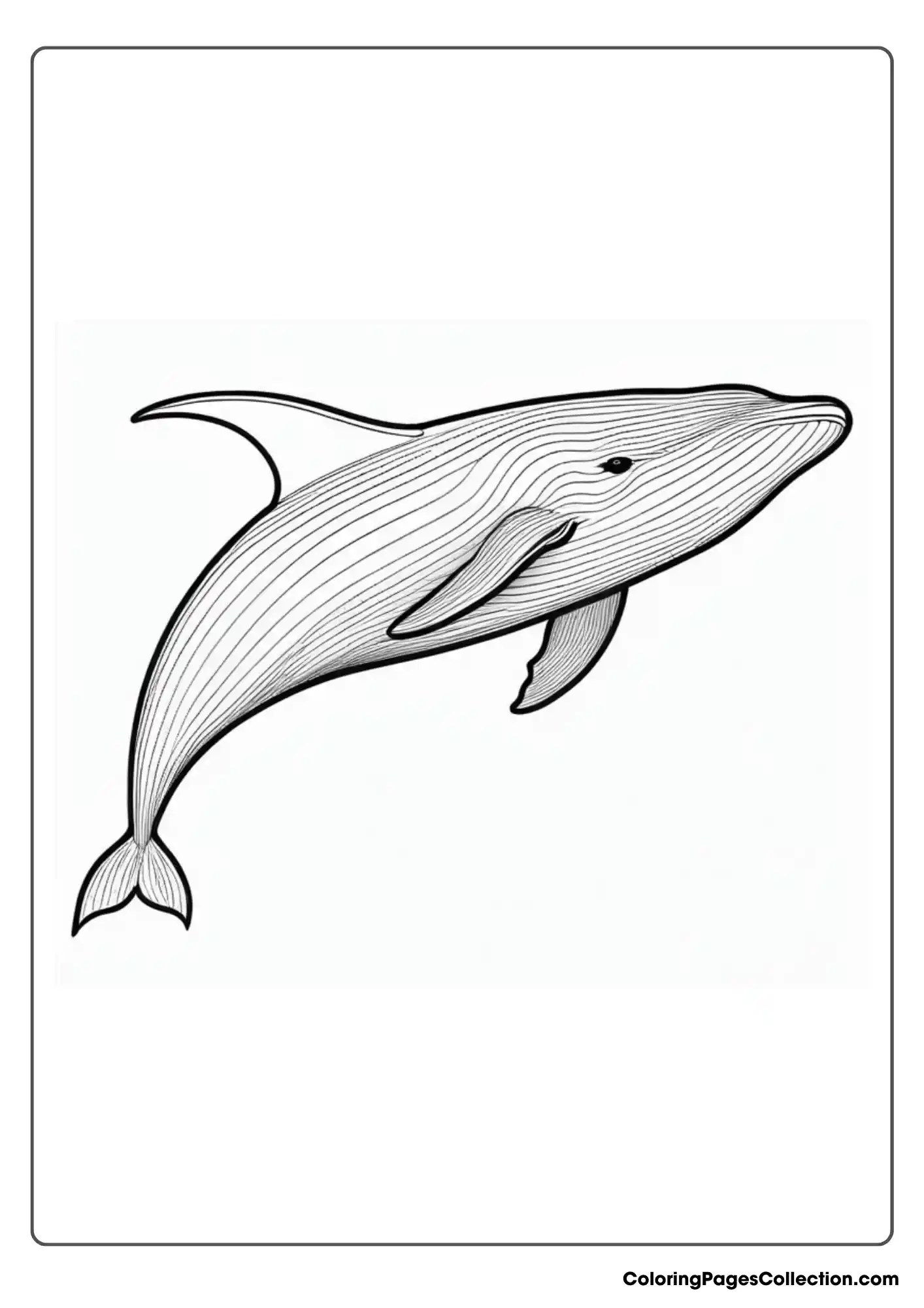 ocean coloring pages