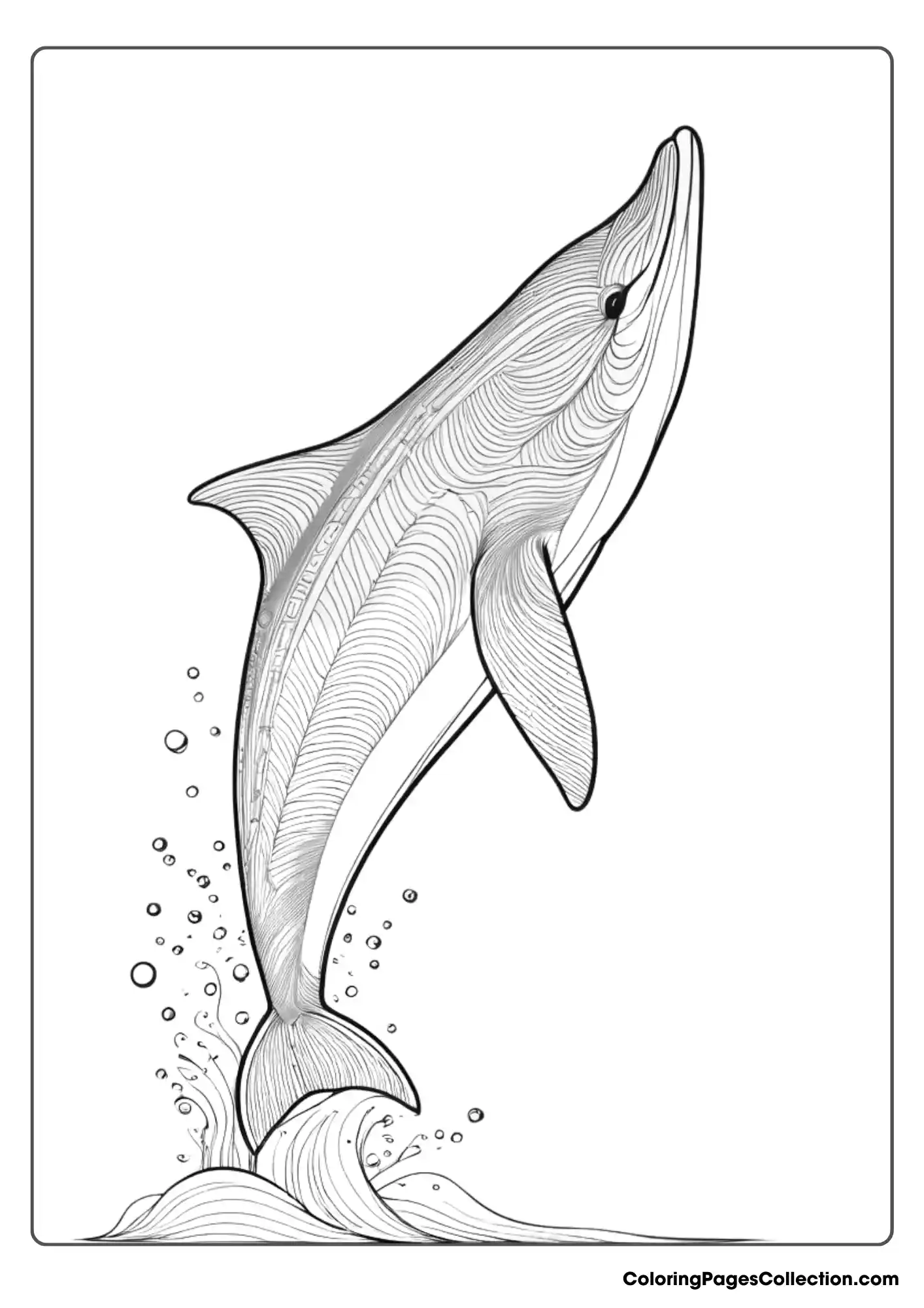 ocean coloring pages