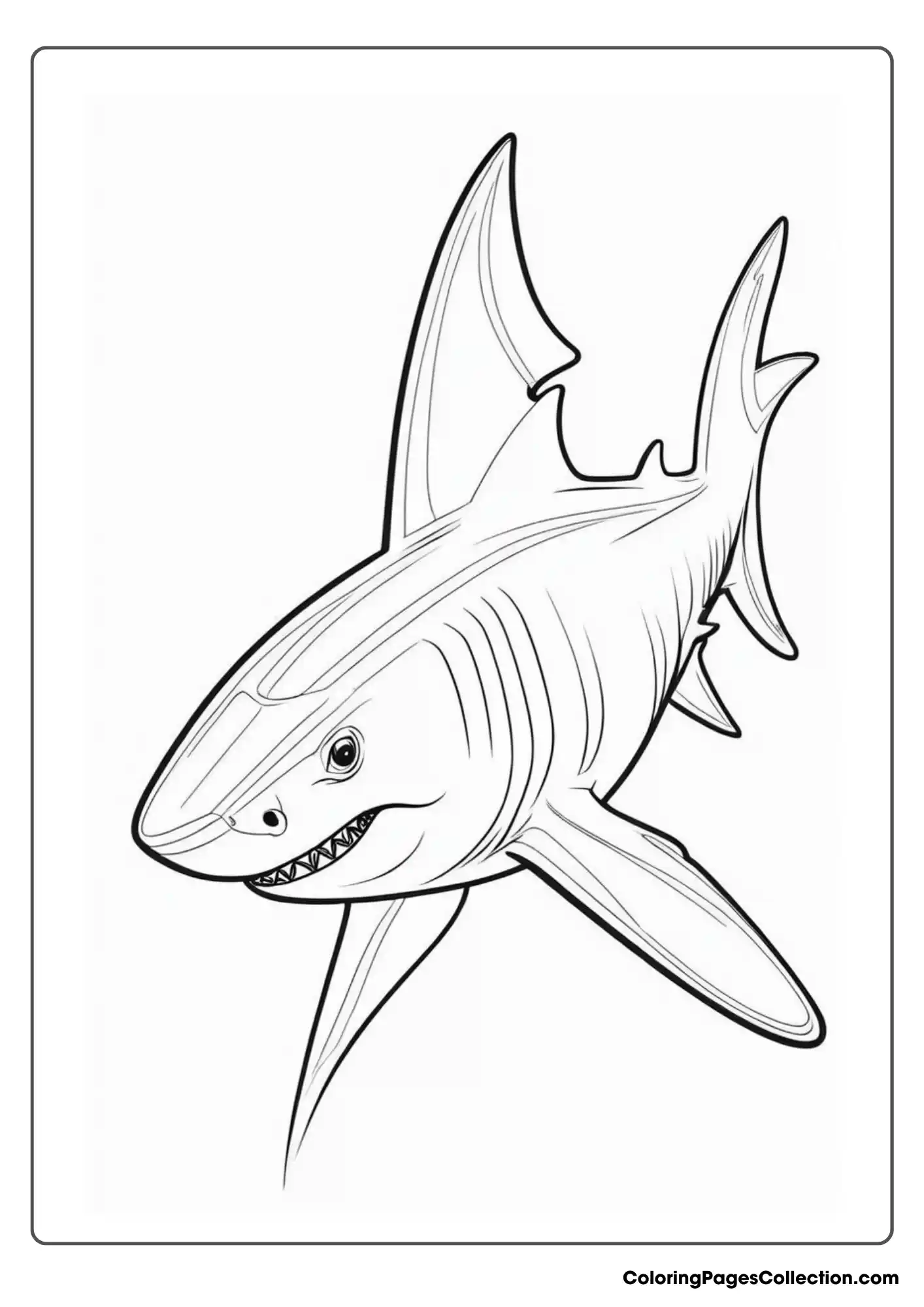 ocean coloring pages